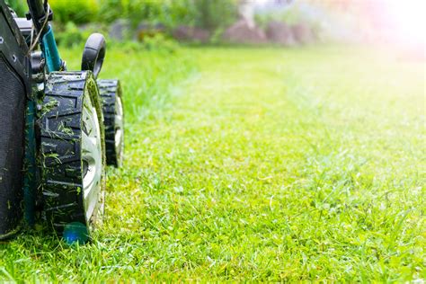 Organic lawn care near me. Things To Know About Organic lawn care near me. 